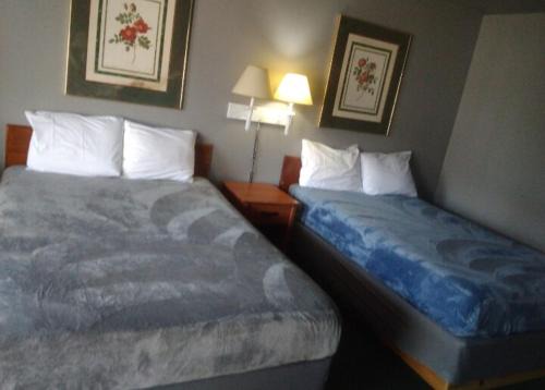 2 Double Bed Hotel Studio 203