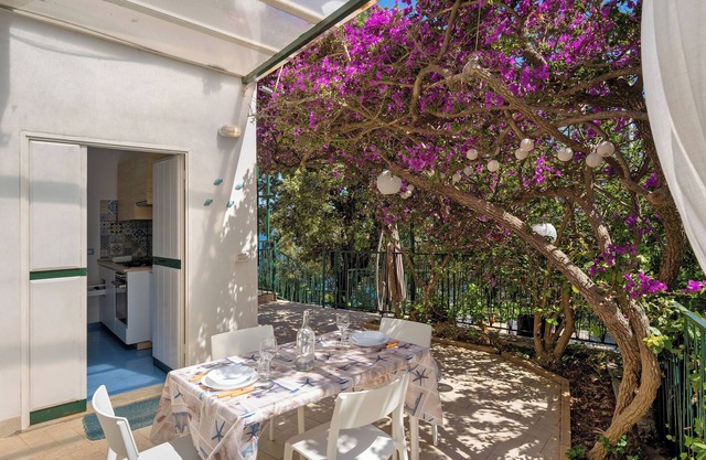 2 holiday apartments 'Blue Green Apartments Amalfi Coast' with Sea View, Wifi, and Air Conditioning