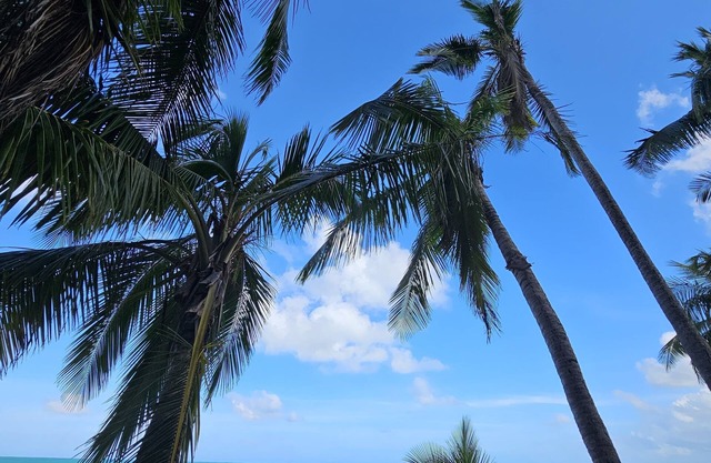 2-romm apartment , WiFi, A/C Luquillo,Puerto Rico access to the beach and pool