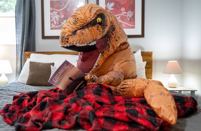 🦋⭐️🦋 2 Secluded Dual Unit Mountain Homes⛰Sleeps 22🦋⭐️🦋 Near DollyWood 🎢 2 HOT TUBS ⭐️ Game Room🎢