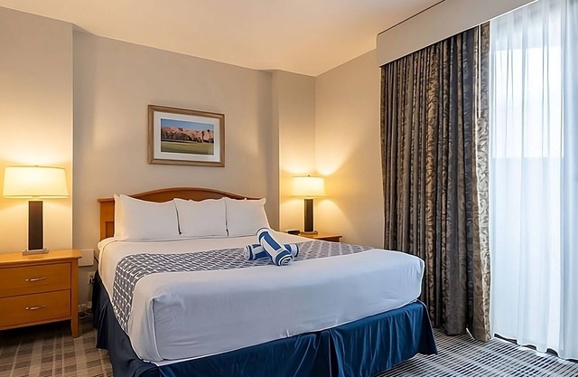 2 Spacious Units, Outdoor Pool, Kitchen, Free Parking!