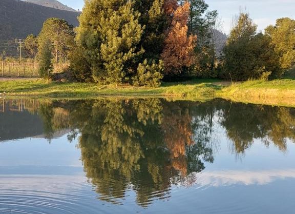 20 Good Summers Farm Stay