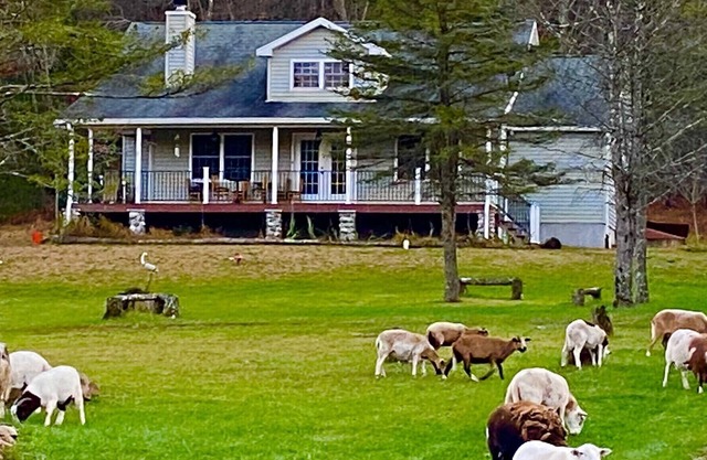 22 ACRE FARMHOUSE WITH PARK LIKE SETTINGS