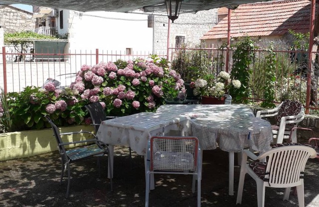 Terrace Sea 