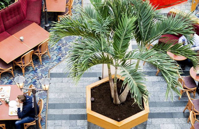 2Home Stockholm South