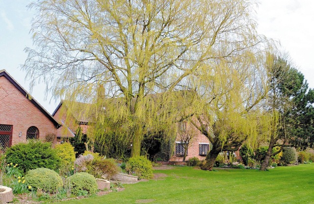 3 bedroom accommodation in Addlethorpe