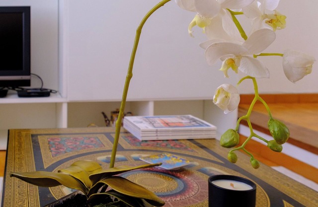 3 bedroom apartment in sardinia
