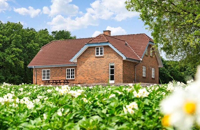 3 bedroom beautiful home in Videbæk