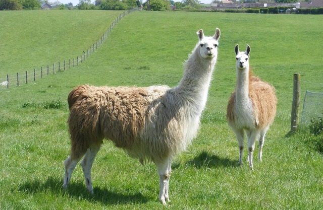 3 bedroom converted barn between Corsham and Lacock and 10 miles from Bath