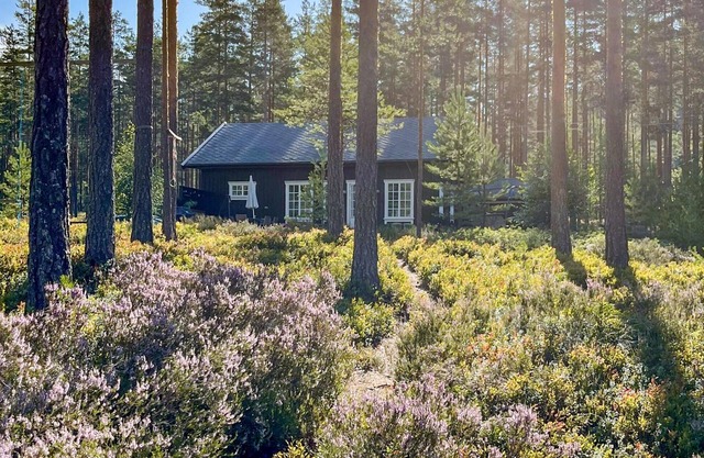 3 bedroom cozy home in Treungen