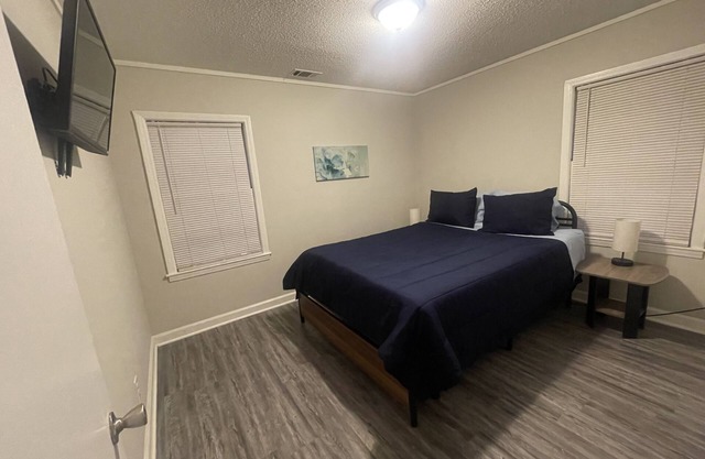 3 bedroom private vacation home in memphis