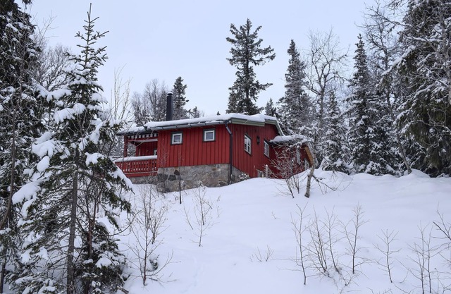 3 bedroom stunning home in Eggedal