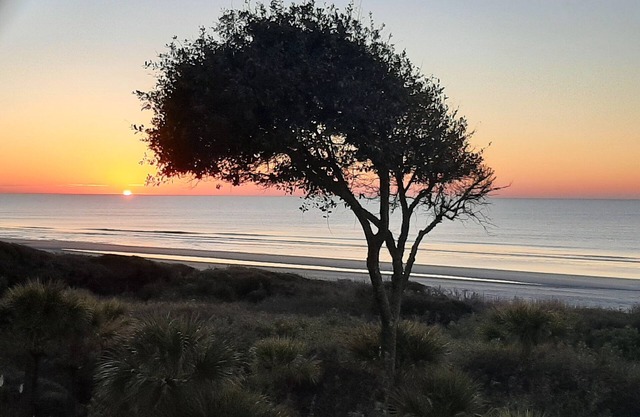 3 Bedroom Windswept Villa on the Beach