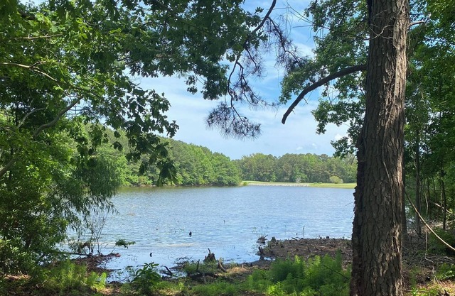 3 Br/2 Bath Waterfront Vacation Home-Pet Friendly