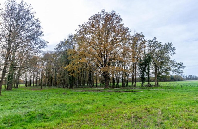 3 ch, 2 salle de bain, 20 min Beauval et Chambord