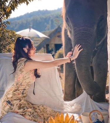 Pok Maewang Jinxiang Gold Elephant Park 