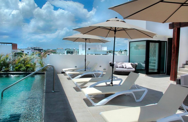 302 - Large studio downtown 5 minutes away from the beach pet friendly