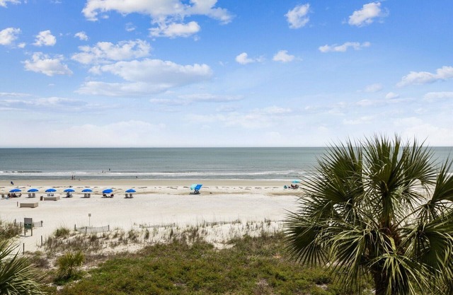 302 Turtle Lane Club ~ Amazing Oceanfront Views in Sea Pines