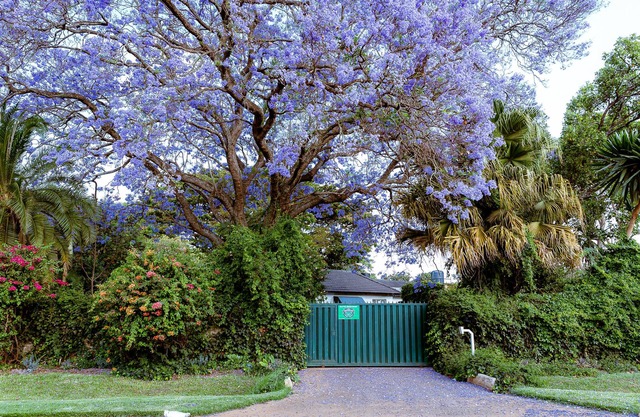 3BR Vacation Home Amidst Lush Garden. Perfect for family.