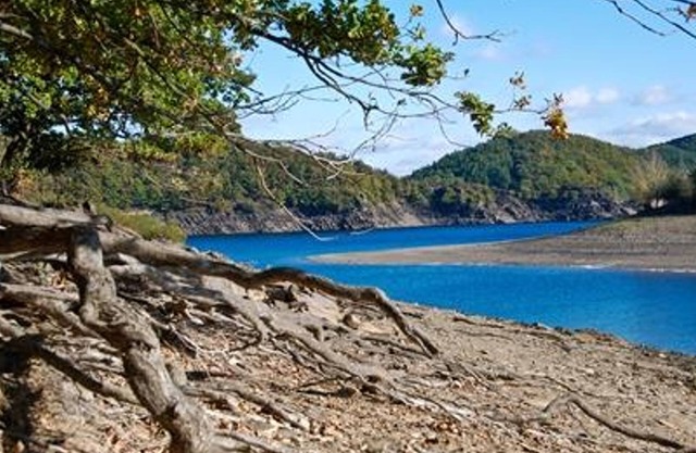 4-bed vacation apartment (type B with dog possible) - Ferienwohnungen Haus Panorama