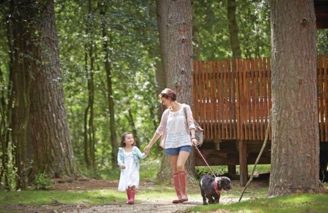 4 bedroom accommodation in Nr Pickering