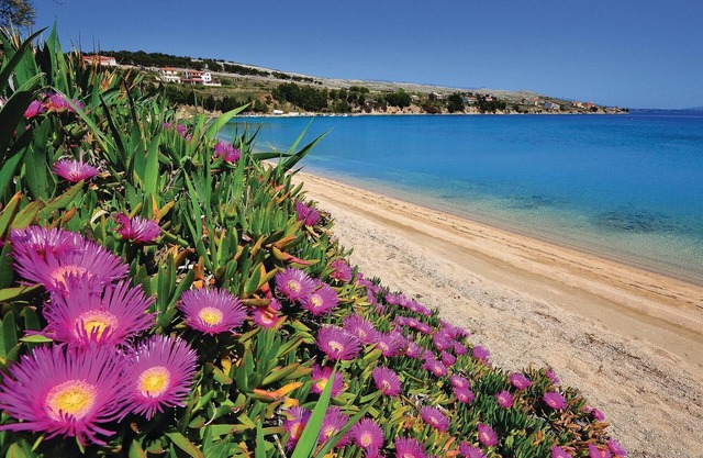 4 bedroom accommodation in Miskovici