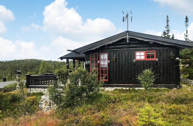 4 bedroom beautiful home in Engerdal