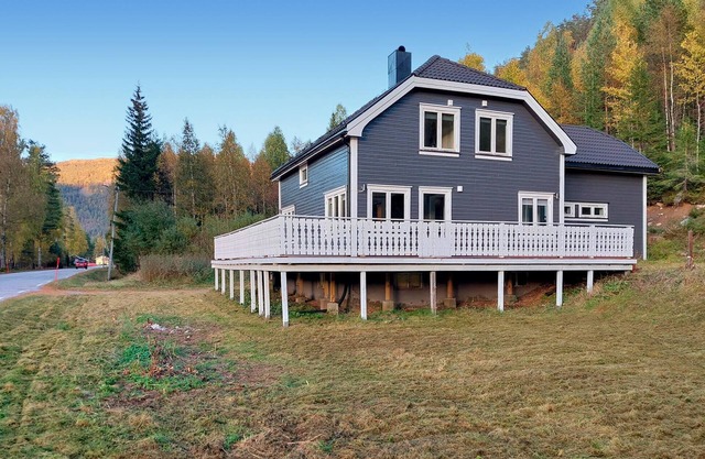 4 bedroom beautiful home in Fyresdal
