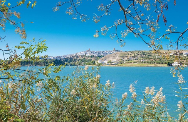 4 bedroom accommodation in Arcos de la Frontera
