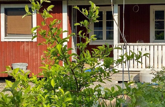 4 person holiday home in TORPSHAMMAR