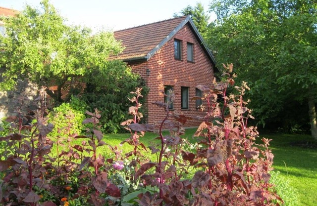 4-star apartment in rich nature, close to Berlin, sauna, garden, pet on request