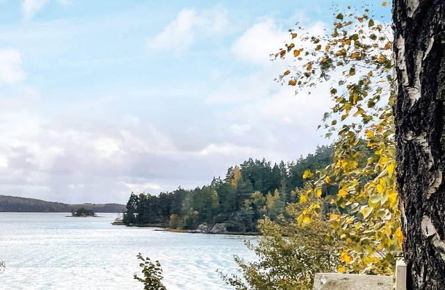 4 star holiday home in ALLINGSÅS