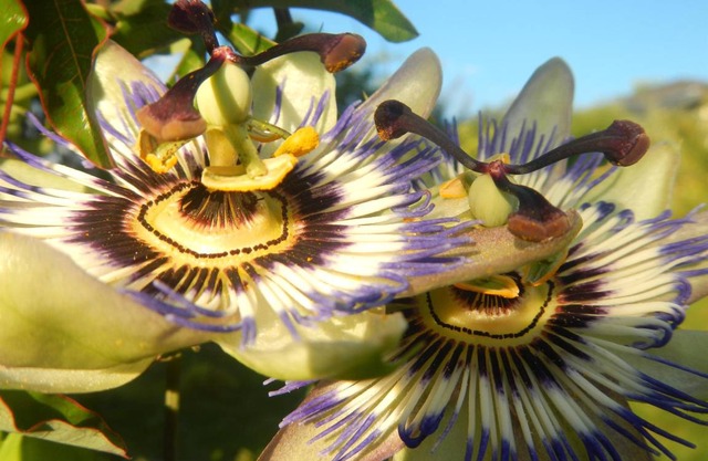 45 m² Apartment ∙ 1 bedroom ∙ 2 guests