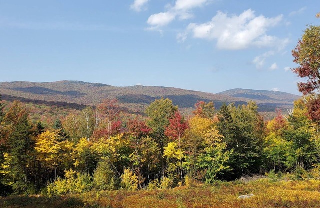 4BR mountain cabin w/deck & slope views