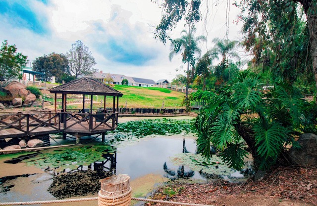 5-Acre Enchanted Estate: Pool, Animals, & Views