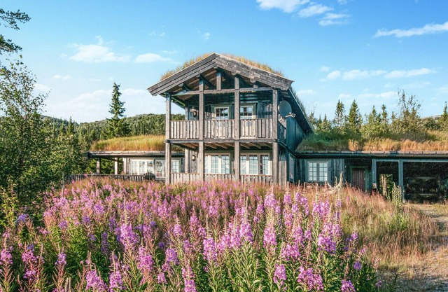 5 bedroom gorgeous home in Engerdal