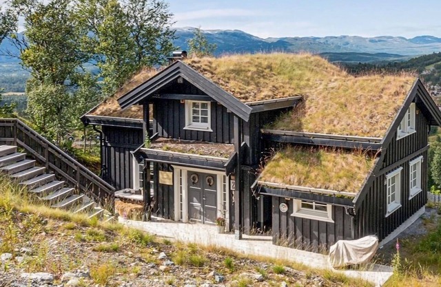 5 bedroom stunning home in Rauland