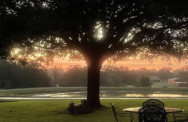 5-star property 1 hr W of Katy, 30 min to Round Top, near The Vine Wedding Venue