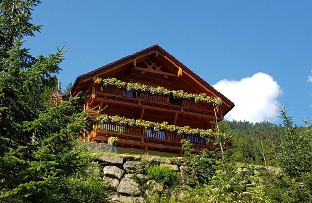 61 m² Apartment ∙ 2 bedrooms ∙ 6 guests