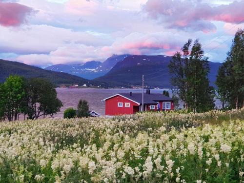 7 person holiday home in Rossfjordstraumen