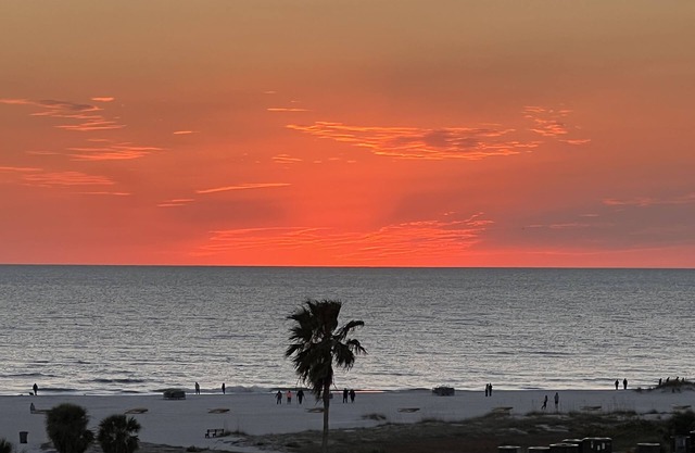 7th night FREE in 2025 Slow M'Ocean Penthouse Unit 603