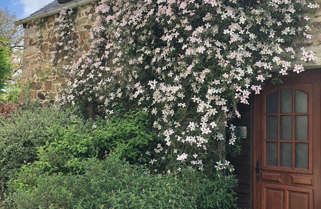 A 2 bedroom cottage that sleeps 4 guests in 2 bedrooms with covered pool