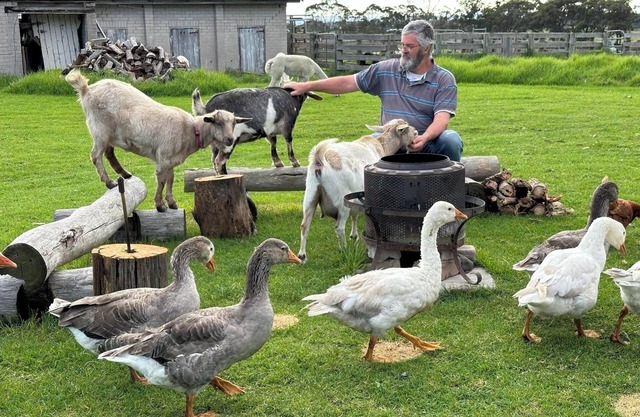 A chance to get away from it all, farm life!