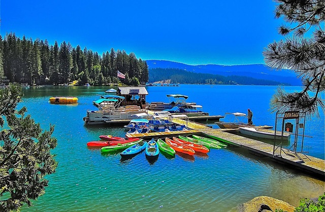 A Classic Forest Cabin with Modern Amenities - the Best of Both Worlds