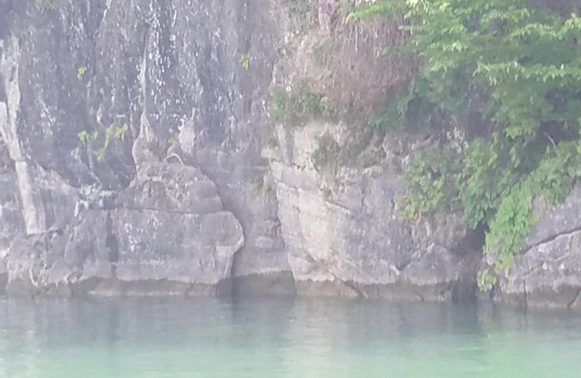 A few more steps but less expensive!