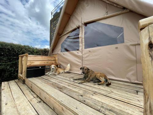 A-Frame Tent in Naivasha - Elwai Visitor Centre