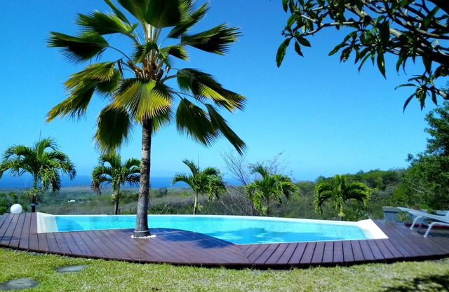 A heavenly spot with ocean and forest views. Privacy, calm, private pool.