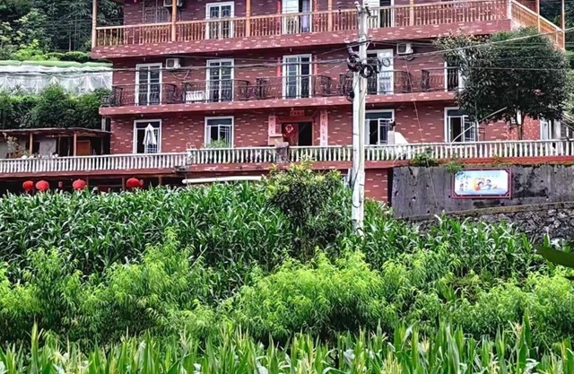 A lodge surrounded by forests, mountains and tea fields !