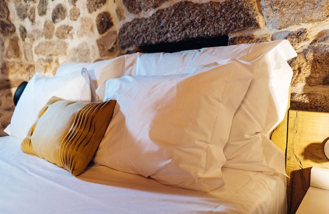 a one-bedroom accommodation unit with a floor area of 25 m