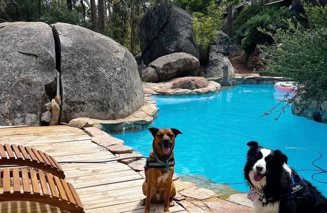 A Paradise for Dogs and a Magical Place for Humans